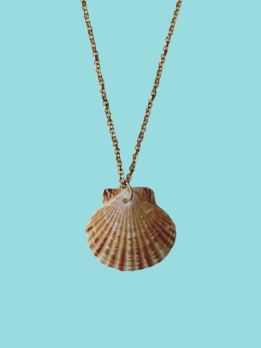 Hawaiian shell necklace