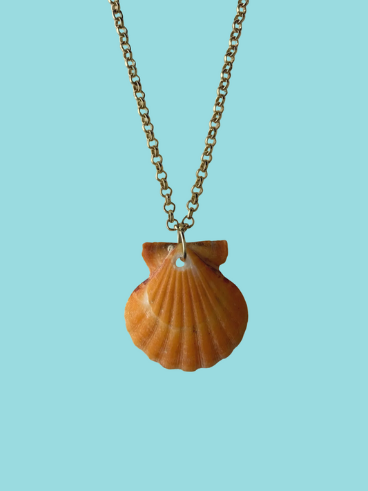 Hawaiian shell necklace