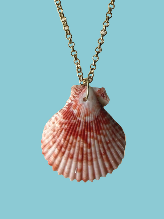 Hawaiian shell necklace