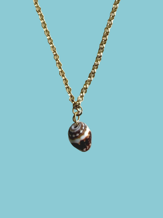 Cone Shell Necklace