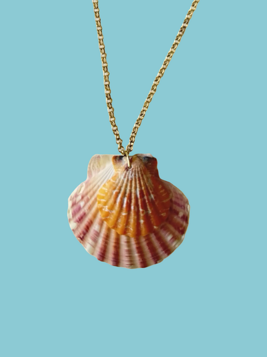 Double Hawaiian Shell Necklace