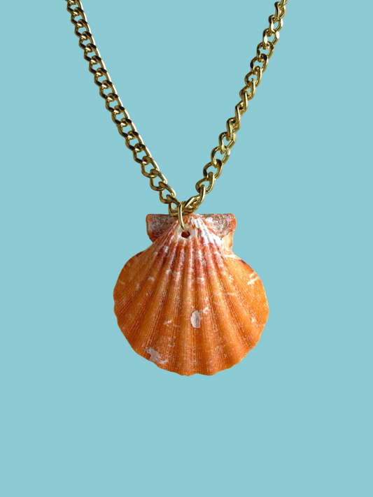 Hawaiian shell necklace