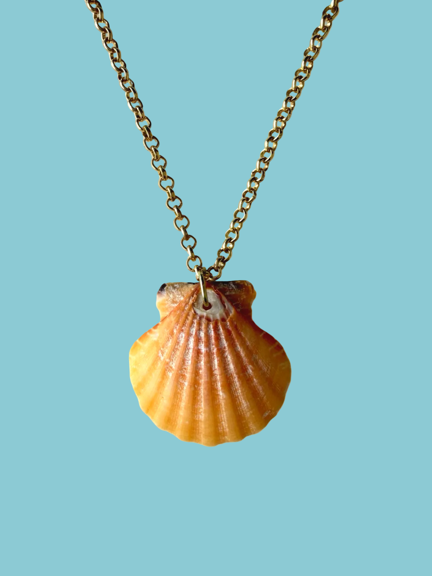Hawaiian shell necklace