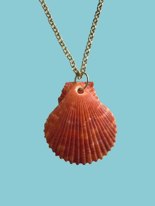 ￼ Hawaiian Shell Necklace