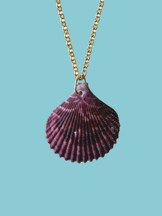 Hawaiian shell necklace