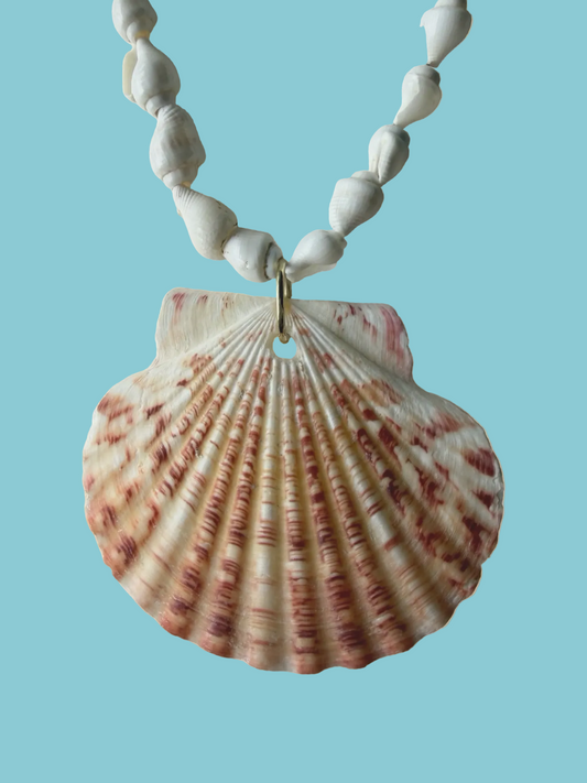 Hawaiian Shell necklace