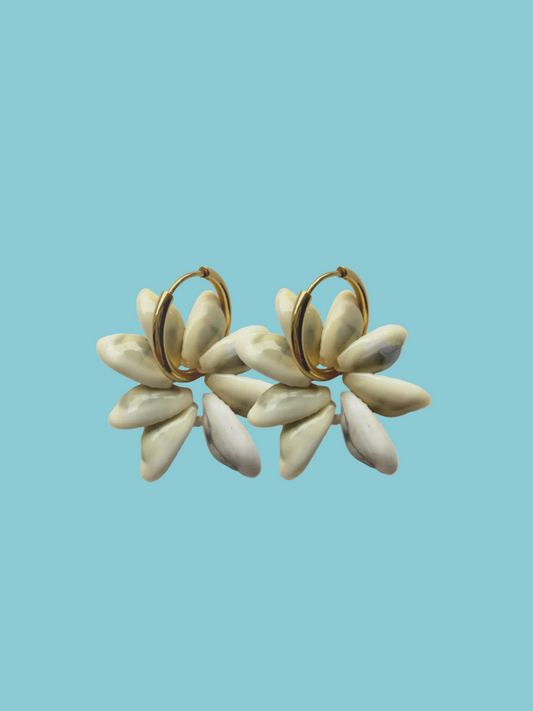 Cowrie Shell Earrings